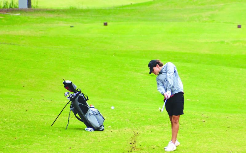 Luke Morey/The Clayton Tribune. Wildcat junior Blake Weber connects with his shot from the fairway at the state event.
