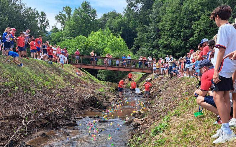 Megan Broome/The Clayton Tribune. Hundreds of people watched as rubber ducks lined up for the “Georgia Quacker 400” race in Sky Valley July 3.