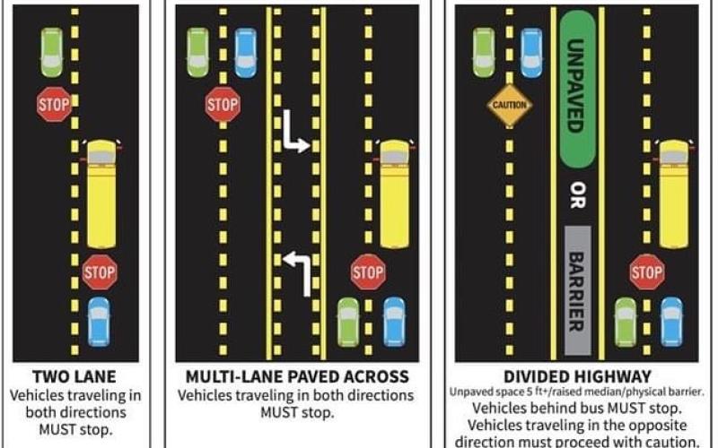 School bus safety graphic.