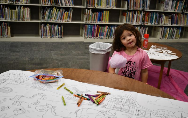 Megan Horn/The Clayton Tribune.