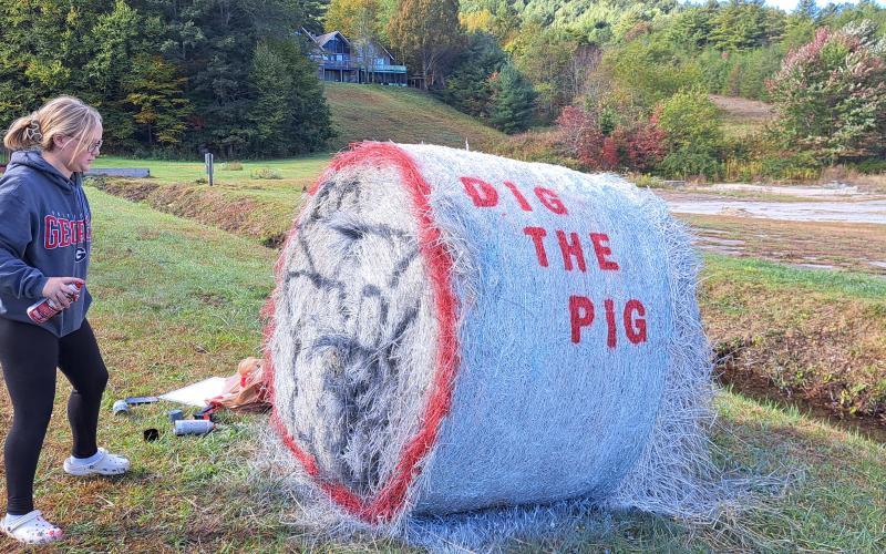 Megan Horn/The Clayton Tribune. Maggie Streetman helps decorate a hay bale for Piggly Wiggly as part of the Sky Valley Hay Bale Trail that visitors can view as they travel through the area. Left: Noryce and Don Burgey decorate a bale in the Sky Valley Hay Bale Trail for Bartram Trail Conservancy to bring awareness to and promote the 110-mile trail.