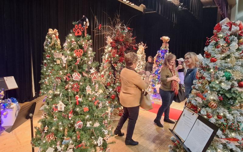Megan Horn/The Clayton Tribune. There were 31 trees decorated and donated by nonprofits, businesses and individuals in the community for the annual Holiday Market and Festival of Trees. The event, held at the Rabun County Civic Center Nov. 24 and 25, raised $10,573 for Rabun Paws 4 Life.