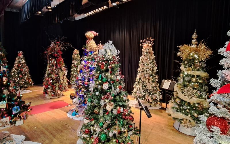 Megan Horn/The Clayton Tribune. There were 31 trees decorated and donated by nonprofits, businesses and individuals in the community for the annual Holiday Market and Festival of Trees. The event, held at the Rabun County Civic Center Nov. 24 and 25, raised $10,573 for Rabun Paws 4 Life.