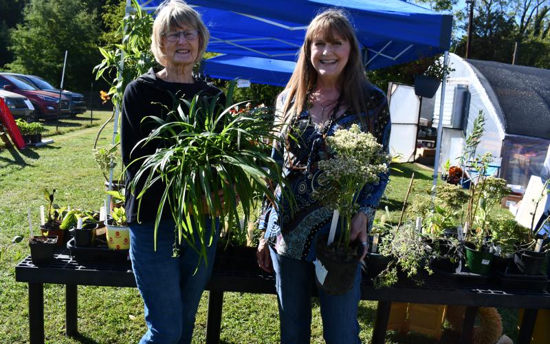 Megan Horn/The Clayton Tribune. The Old School Garden brought out enthusiastic gardeners for its Fall season plant sale on Oct. 7. The sale featured a large variety of perennial plants ready to plant for spring blooms as well as flowers, herbs, landscaping varieties and medical plants.