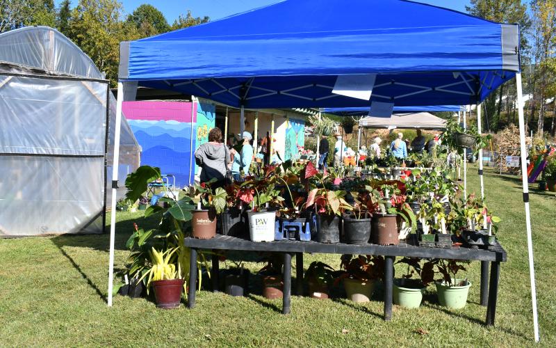 Megan Horn/The Clayton Tribune. The Old School Garden brought out enthusiastic gardeners for its Fall season plant sale on Oct. 7. The sale featured a large variety of perennial plants ready to plant for spring blooms as well as flowers, herbs, landscaping varieties and medical plants.
