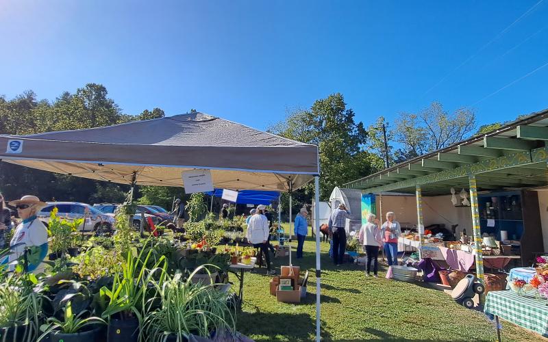 Megan Horn/The Clayton Tribune. The Old School Garden brought out enthusiastic gardeners for its Fall season plant sale on Oct. 7. The sale featured a large variety of perennial plants ready to plant for spring blooms as well as flowers, herbs, landscaping varieties and medical plants.