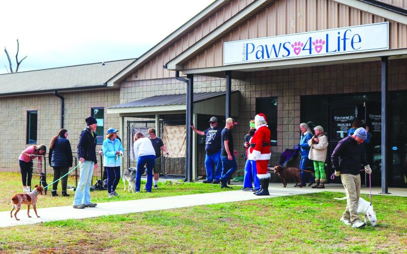 Photo courtesy of Lisa Broz. Over 100 people in the community volunteered to walk dogs and spend time with kittens during the “Walking Paws” event at Rabun Paws 4 Life Dec. 23. There were also four adoptions during the event.