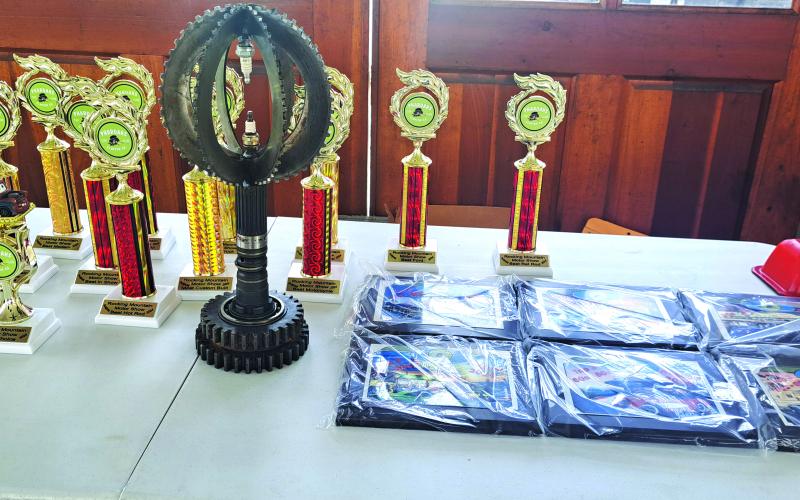 Megan Horn/The Clayton Tribune. Unique trophies were presented to winners of the Rockin’ Mountain Motor Show last Saturday for Best in Show; Best Hotrod; Best Ratrod; Best Mop AR; Best Ford; Best Chevy; Most Original; Most Custom Build; Top 3 30s to 50s; Top 3 60s to 80s; Best Motorcycle; Pharoahs’ Choice; Kids’ Choice; Best 4 X 4; Best Truck; and Best Modern.