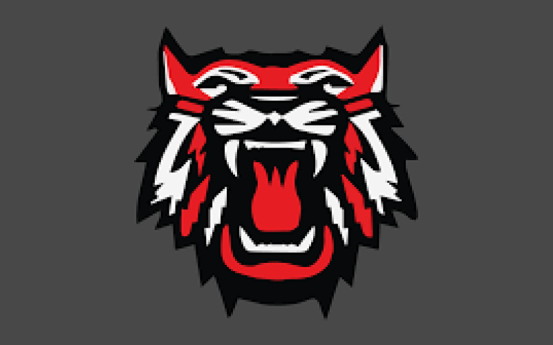 The Rabun County Hall of Fame Committee will honor its 2024 class of inductees on Friday, Sept. 6 before the RCHS football team hosts Dalton at 7:30 p.m.