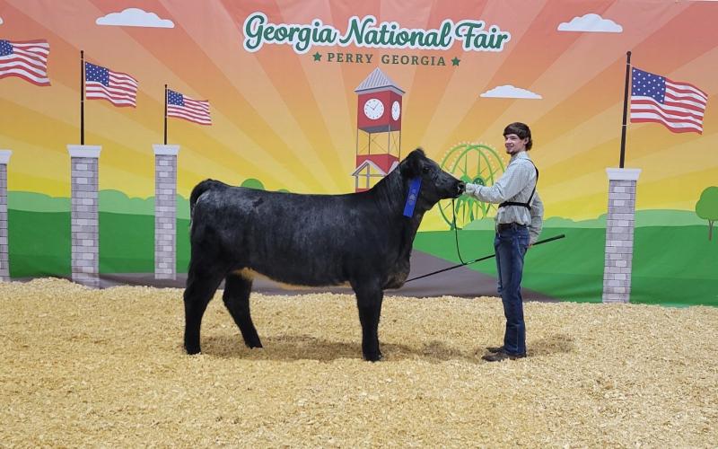 Submitted. Luke Chastain’s Percentage Shorthorn Heifer placed First in the breeding class in the Beef Barn during the Georgia National Fair Livestock Shows. Below: Rabun County FFA member Taylor Bush brought home First in Market Class and First in Georgia Born and Bred Class at the Georgia National Fair Livestock Shows Oct. 3-6.