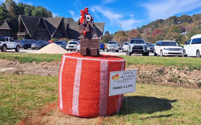 Megan Horn/The Clayton Tribune. Rabun Paws 4 Life decorated this hay bale for this year's Sky Valley Hay Bale Trail. Below: Veterans of Foreign Wars (VFW) Post 4570 cooked hotdogs for the community at the Sky Valley Fall Fest.