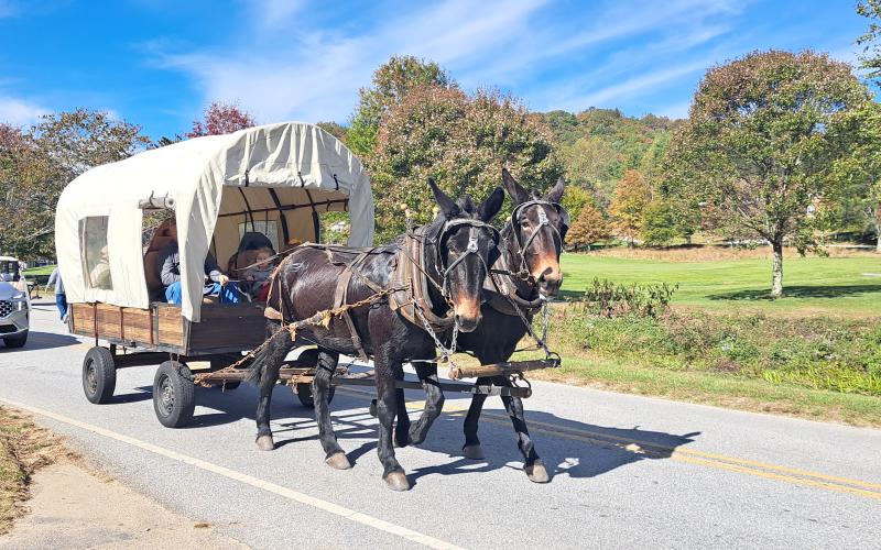 Megan Horn/The Clayton Tribune. A horse-drawn carriage could be seen giving Sky Valley Fall Festival goers lifts through the city on a beautiful sunny Saturday, Oct. 19, day at the 11th annual event. Below: Veterans of Foreign Wars (VFW) Post 4570 cooked hotdogs for the community at the Sky Valley Fall Fest.