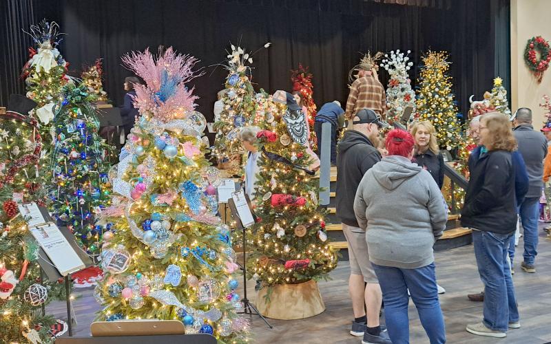 Megan Horn/The Clayton Tribune. The Creative Learning Center was this year’s beneficiary of the Festival of Trees held at the Rabun County Civic Center last Friday and Saturday. Below: This Pokémon tree decorated by Guthrie Associates, Inc. was one of over 35 that community members could bid on at the Festival of Trees last weekend. This year’s beneficiary was the Creative Learning Center.
