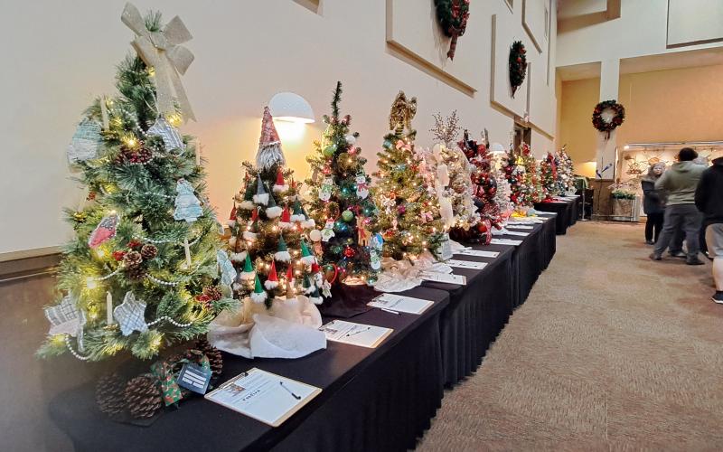 Megan Horn/The Clayton Tribune. The Creative Learning Center was this year’s beneficiary of the Festival of Trees held at the Rabun County Civic Center last Friday and Saturday. Below: This Pokémon tree decorated by Guthrie Associates, Inc. was one of over 35 that community members could bid on at the Festival of Trees last weekend. This year’s beneficiary was the Creative Learning Center.