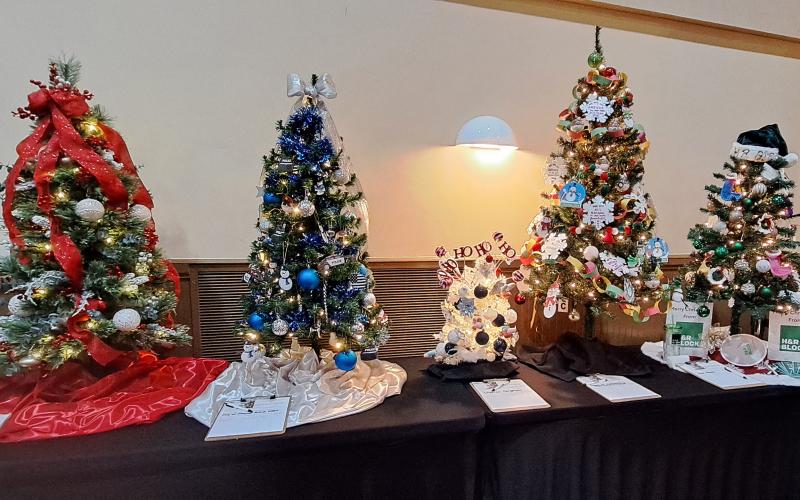 Megan Horn/The Clayton Tribune. The Creative Learning Center was this year’s beneficiary of the Festival of Trees held at the Rabun County Civic Center last Friday and Saturday. Below: This Pokémon tree decorated by Guthrie Associates, Inc. was one of over 35 that community members could bid on at the Festival of Trees last weekend. This year’s beneficiary was the Creative Learning Center.
