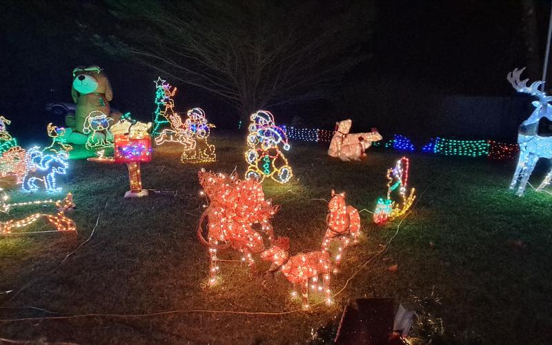 Megan Horn/The Clayton Tribune. These Reindeer are on display at the Christmas Village of Lights this weekend.