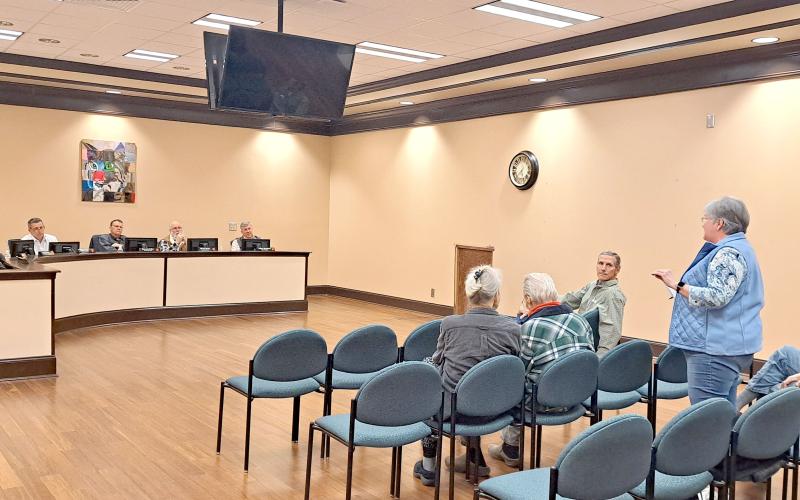 Megan Horn/The Clayton Tribune. Rabun County resident Julie Mayer speaks in favor of the school board opting out of HB 581 during the Jan. 20 public hearing held at the district office.