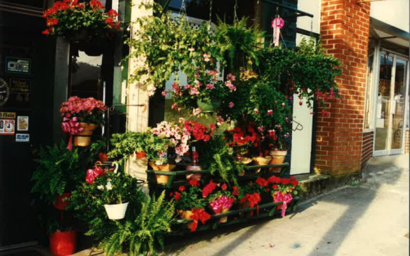 Submitted photo. Beautiful flowers were a site to see at the Clayton Flower Bed, especially during the summer months. These pictures taken in June 1996 display the colorful flowers.
