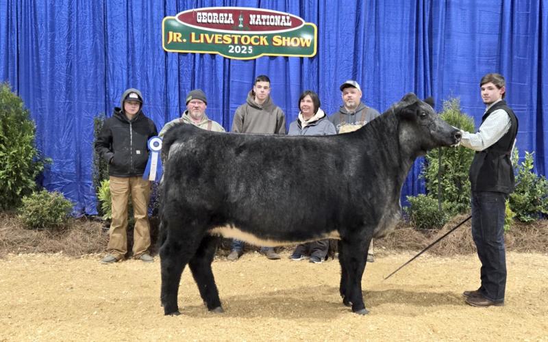 Photos courtesy Rabun County FFA. Fellow Rabun County FFA students attended the Perry, Ga. 2025 State Livestock Show held at the Georgia National Fairgrounds in February.