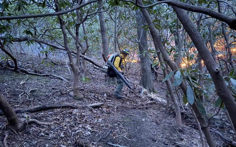 Photo courtesy of James Wettstaed/PIO/firenet.gov. U.S. Forest Service crews continue battling a wildfire that started in the Chattahoochee-Oconee National Forest on March 22, 2025. As of Thursday afternoon, the fire was 812 acres.