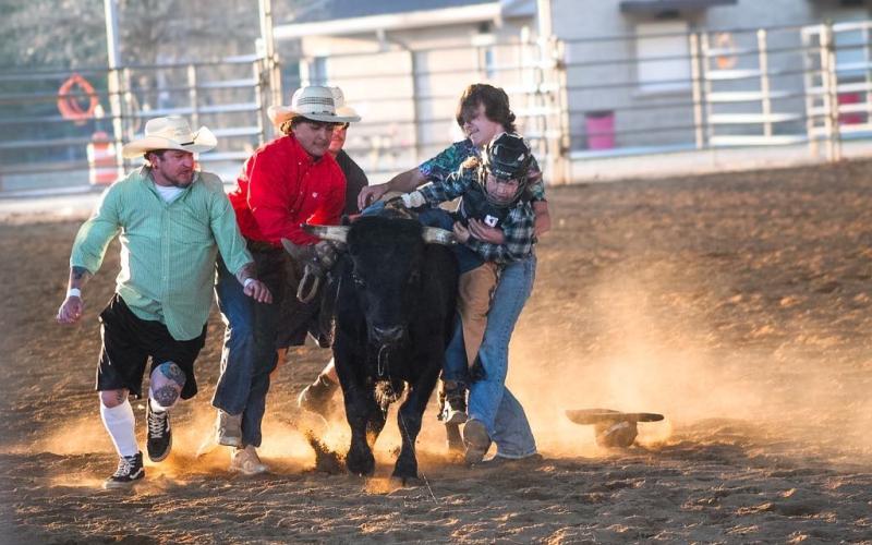 Submitted. Gus Teeter has been traveling the country competing as a bull rider.