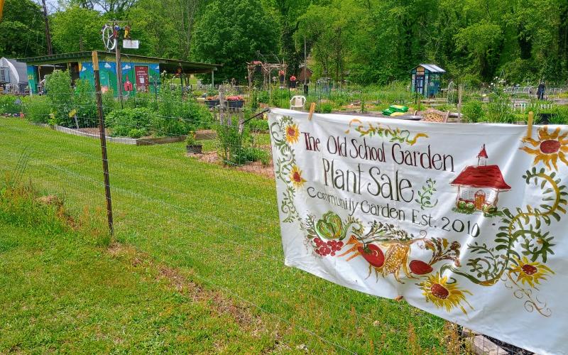 Megan Horn/The Clayton Tribune. There were a variety of plants to choose from at The Old School Garden Spring Plant Sale May 2 and 3. The event last weekend brought crowds of people.
