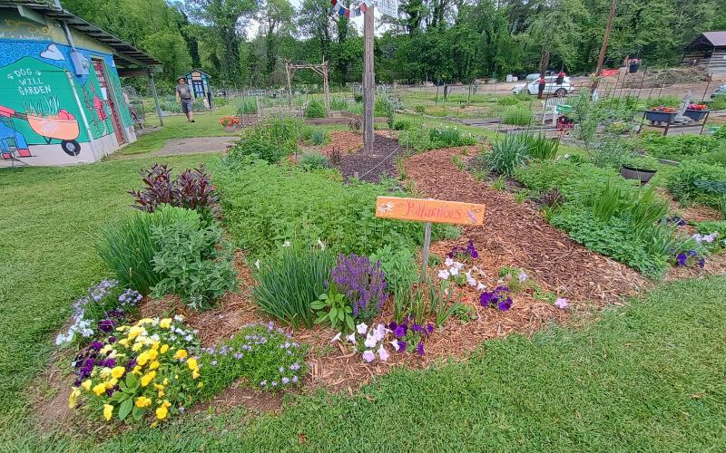 Megan Horn/The Clayton Tribune. Visitors to The Old School Garden on May 2 and 3 got the opportunity to stroll through the nonprofit community garden to talk to fellow gardeners about annuals, perennials and much more. The fundraiser allows for gardeners to purchase plots at affordable pricing.