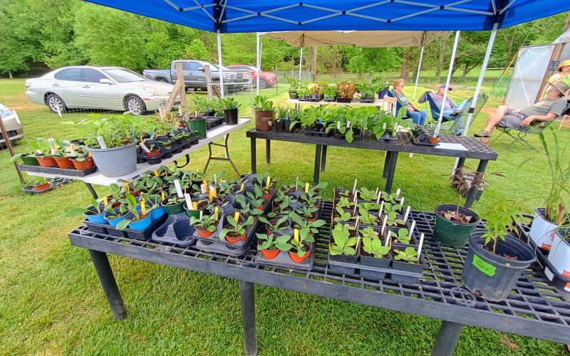 Megan Horn/The Clayton Tribune. There were a variety of plants to choose from at The Old School Garden Spring Plant Sale May 2 and 3. The event last weekend brought crowds of people.