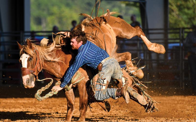 Wade Cheek/The Clayton Tribune.  Todd Weaver struggles to stay on his bucking horse during the Bar W Rodeo Company’s July 5 event at the Rabun Arena in front of a capacity crowd.