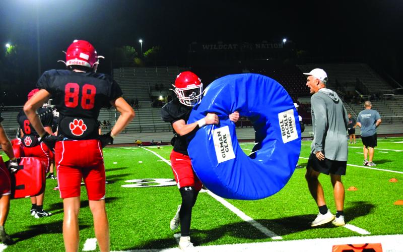 Enoch Autry/The Clayton Tribune. RCHS defensive coordinator Bill Stewart (far right) takes the Wildcats through drills at “Midnight Madness.”