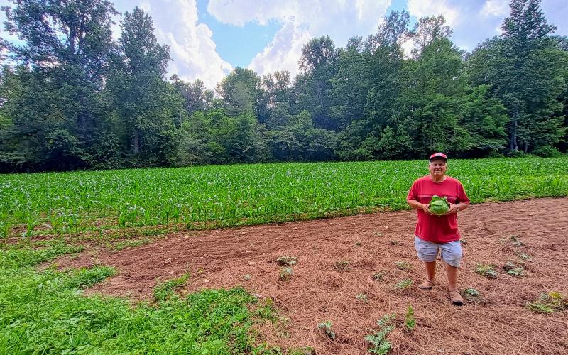 Megan Horn/The Clayton Tribune. Rabun County native Joey Davenport displays this sizeable cabbage he grew in his garden on the east side of Clayton. Gardening for over 70 years, this year’s plantings include cabbage, watermelons, okra, beans, yellow squash, potatoes, sweet potatoes and tomatoes. In the past, the garden produced an 8-pound cabbage.