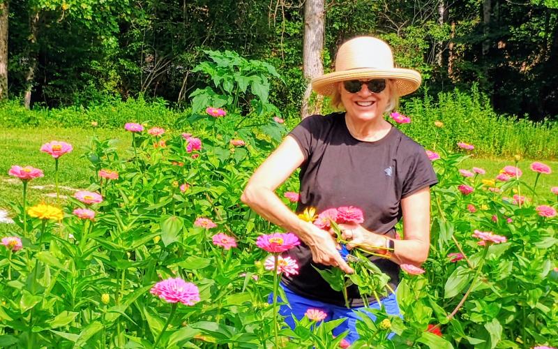 Megan Horn/The Clayton Tribune. Cindy Wright cuts flowers and makes colorful arrangements at Zinnia Happiness Farms in Rabun County. The season begins early July and runs until about mid-October, with 100 percent of proceeds supporting breast cancer research.