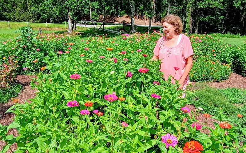 Megan Horn/The Clayton Tribune. Collin Lines owns Zinnia Happiness Farms with husband Tommy.