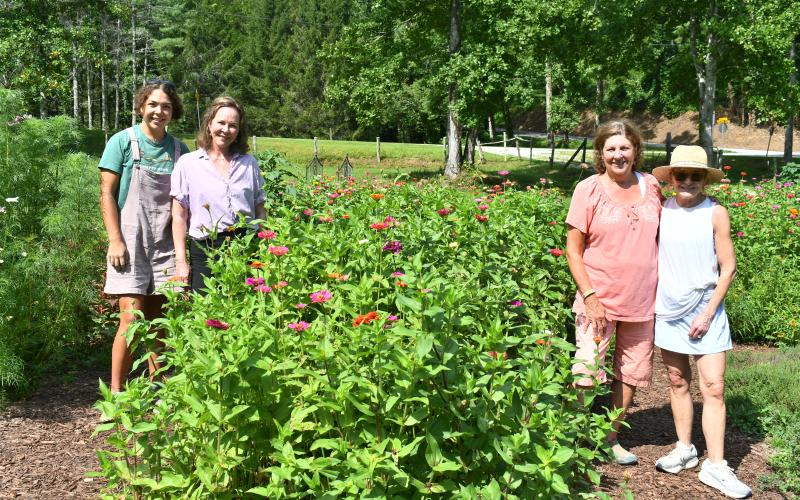 Megan Horn/The Clayton Tribune. Faith D’Amato, left; Betty King; Collin Lines and Nan Troutman are happy to be at Zinnia Happiness Farms to support breast cancer research. The farm, located at 4430 East Wolf Creek Road, Tiger, and owned by Lines gives members of the community opportunities to cut Zinnias and create beautiful flower arrangements from early July to mid-October every year. The farm is in its ninth year.
