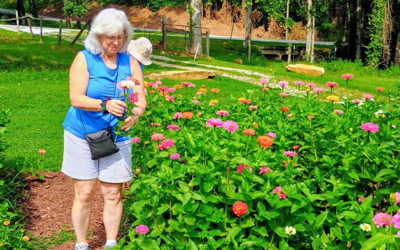 Megan Horn/The Clayton Tribune. Serrell Stoke happily looks over her colorful flower arrangements at Zinnia Happiness Farms. The farm is owned by Collin and Tommy Lines and 100 percent of proceeds support breast cancer research.