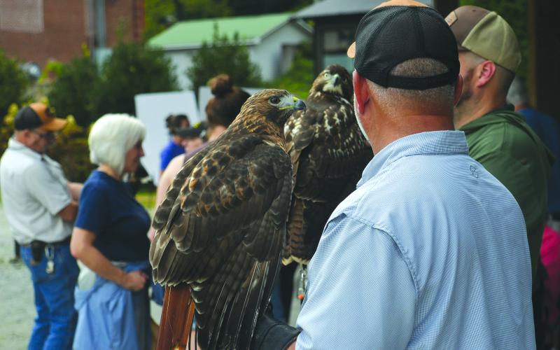 Enoch Autry/The Clayton Tribune. Various types of birds of prey were on hand at the pavilions for those who attended the event that raised money for the Place of Hope North Georgia, which assists local foster program
