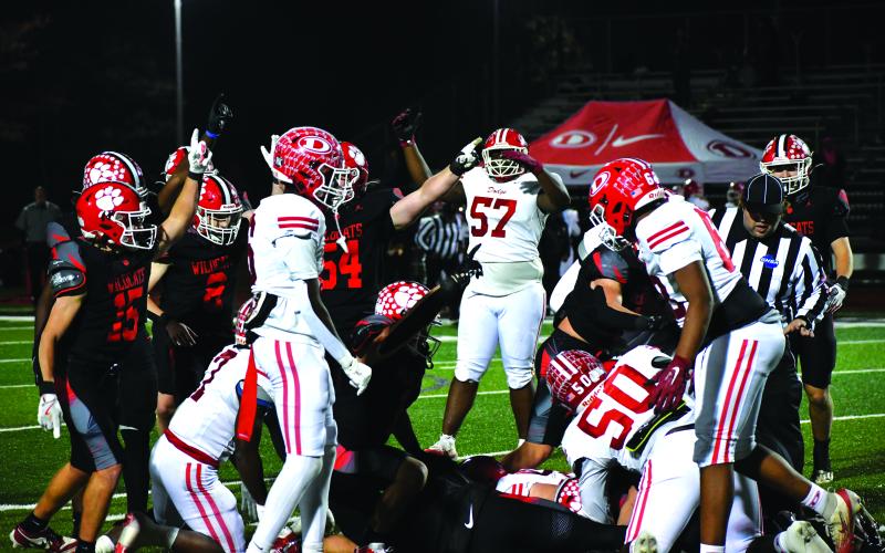 Wesley Branch/The Clayton Tribune. Rabun County defensive players celebrate in anticipation of a fumble recovery in the Wildcats’ 56-21 playoff win over the Dodge County Indians on Nov. 14. Rabun County had two fumble recoveries, an interception and a blocked punt in the win.