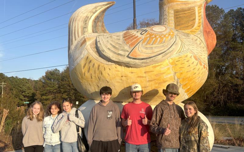 Photo courtesy of Rabun County 4-H. Rabun County 4-H wins second place at the Georgia 4-H Elite Northeast District Trivia Contest on Nov. 24. Pictured are Molly Church, Karsen Pendrey, Hadleigh Pileski, Liam Puma, Peyton Hicks, Landon Bland and Addison Patton.