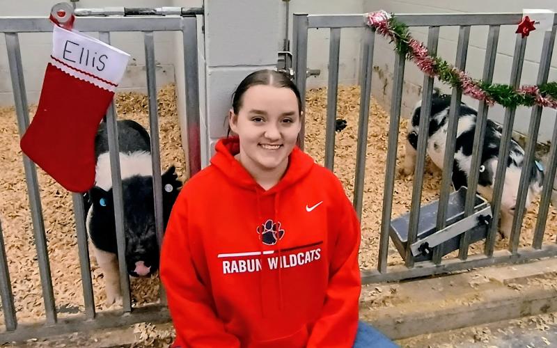 Megan Horn/The Clayton Tribune. Senior Ashlynn Dixon, Rabun County High School FFA member, poses with her pigs “Ellis” and “Ellington” during the Dec. 4 “Santa on the Farm” event at the Rabun County Schools Agricenter. Even the livestock was in the Christmas spirit with their very own customized stockings.