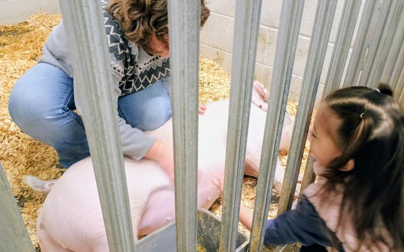 Megan Horn/The Clayton Tribune. RCHS FFA Chapter Reporter Charlie Leff, a 10th grader, left, owns pigs “Peppa Pig” and “George.” Camila Hernandez, 3, pets “Peppa Pig” during the Rabun County Schools AgriCenter “Santa on the Farm” event last week.