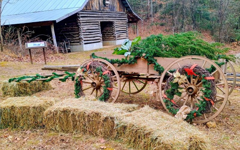 Megan Horn/The Clayton Tribune. Foxfire was busy last Saturday as hundreds of visitors attended “A Foxfire Christmas” in Mountain City. The site was decorated with many native plants, ornaments and equipment to put everyone in a cheery holiday mood.
