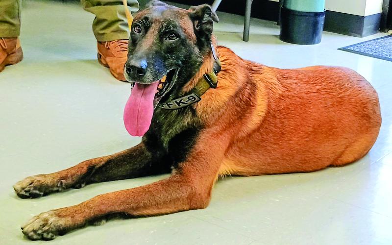 K-9 Coss