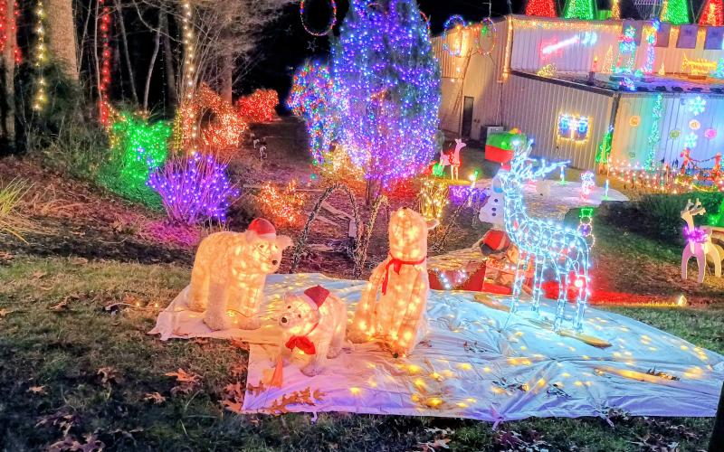 Megan Horn/The Clayton Tribune. Polar bears can be seen at the Christmas Village of Lights display in Tiger.