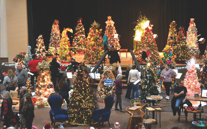 Enoch Autry/The Clayton Tribune. On Black Friday and Saturday, Nov. 29, crowds of people made their way to the Rabun County Civic Center for the 2025 Rabun Festival of Trees and Holiday Extravaganza. A total of $13,695 was raised for the Teaching Kitchen of the Food Bank of Northeast Georgia and many vendors made plans to return in 2026.