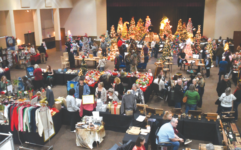 Enoch Autry/The Clayton Tribune. The trees at the 2025 Rabun Festival of Trees and Holiday Extraganza were amazing to see as they each pumped up the Christmas spirit. There were lots of Christmas trees at festival -- both large and small.