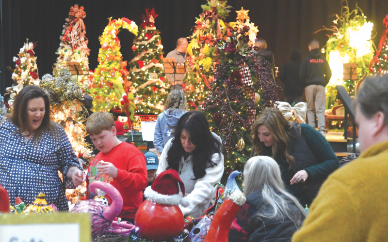 Enoch Autry/The Clayton Tribune. The trees at the 2025 Rabun Festival of Trees and Holiday Extraganza were amazing to see as they each pumped up the Christmas spirit. There were lots of Christmas trees at festival -- both large and small.