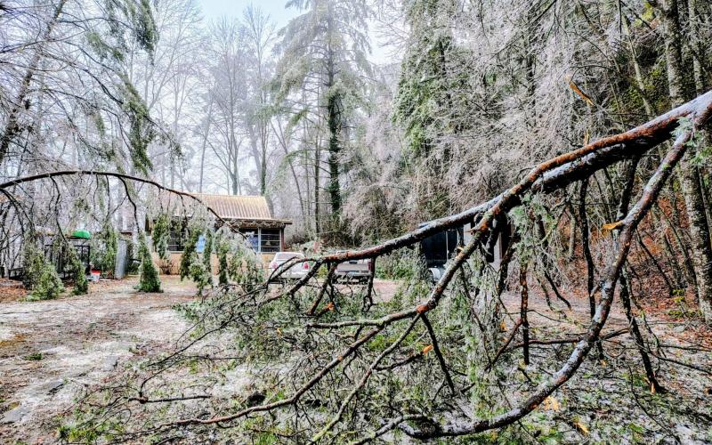 Photo courtesy of Conner Horn. Winter Storm Fern caused downed trees throughout Rabun County, including at this residence three miles west of Clayton city limits near Highway 76 West.