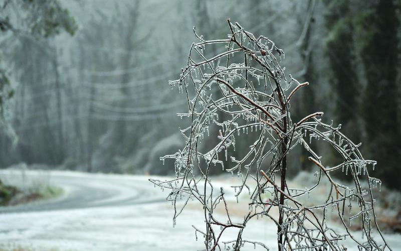 Enoch Autry/The Clayton Tribune. Ice attached itself to anything and everything.