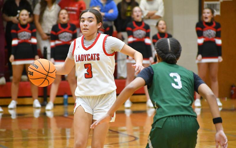 Wesley Branch/The Clayton Tribune. Rabun County’s Addy Beth Owens surveys the floor during Rabun County’s 51-48 win over Athens Academy on Jan. 13. Owens led the Lady Wildcats with 23 points and added five steals.