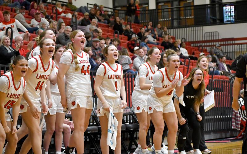 Wesley Branch/The Clayton Tribune. The Rabun County girls basketball bench celebrates a basket in Rabun County’s 66-46 win over Providence Christian Academy on Feb. 4. The Lady Cats are 19-4 with two games remaining in the regular season.